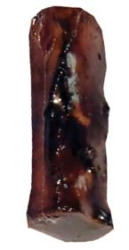 4.5 Inch Center Cut Meaty Natural Bone Bulk