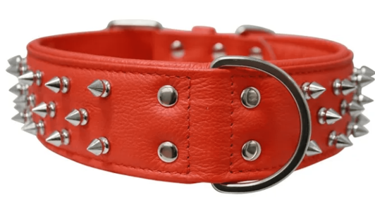 Amsterdam Dog Collar by Angel Multi Line Spiked Collar, 26" X 2", Goldfish Orange