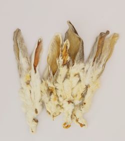 Bulk Rabbit Ears with Fur