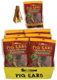10 Pack Pig Ear in Printed Zip Lock Bag Large PDQ of 6
