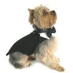 Black Dog Harness Tuxedo w/Tails, Bow Tie, and Cotton Collar