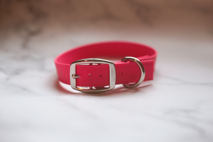 Biothane Buckle Dog Collar (Color: Red, size: Small/Medium 12-14 inches)