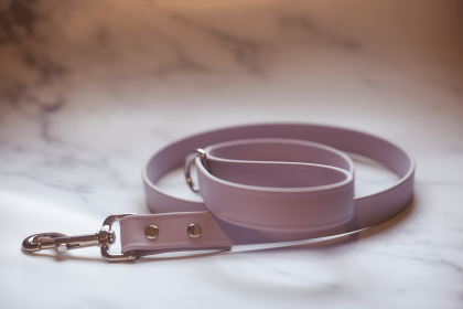 Biothane Leash (Color: Lavender, size: 6 feet)