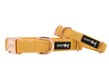 Collar (Color: Yellow, size: small)