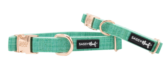 Collar (Color: Teal, size: small)