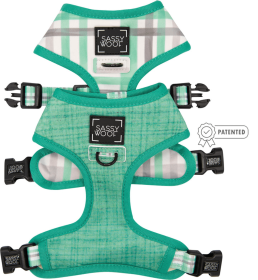 Reversible Harness (Color: Teal, size: XL)