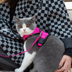 Mr. Peanut's PurrTrek Reflective Cat Harness with Matching Leash (Color: Pink, size: small)