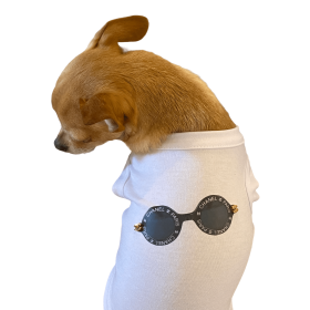 My Summer CC Sunnies (size: large)