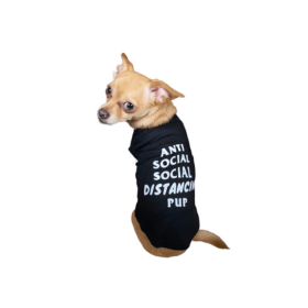 Anti Social Social Distancing Pup (Color: Black, size: 2X Large)