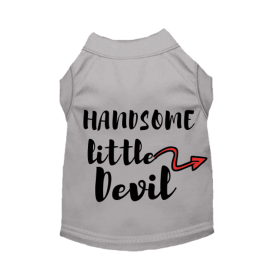 Handsome Little Devil (Color: gray, size: X Large)