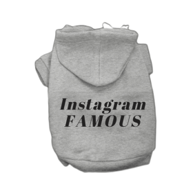 IG Famous Hoodie (Color: Grey, size: X Large)
