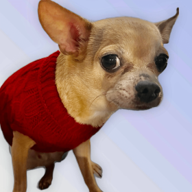Knit Turtleneck Dog Sweater (Color: Wine Red, size: X Large)