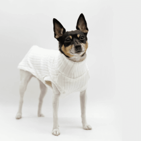 DCNY Mock Neck Sleeveless Sweater Tank (Color: Ivory)