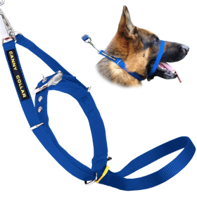 Canny Collar (Color: Blue, size: 17"-19" - Size 5)