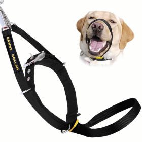 Canny Collar (Color: Black, size: 19"-21" - Size 6)