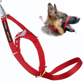 Canny Collar (Color: Red, size: 19"-21" - Size 6)