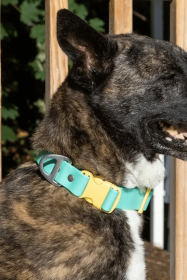 Island Vibes Waterproof Dog Collar (size: 20 - 26 inch)