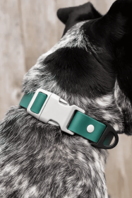 Siberian Spruce Waterproof Dog Collar (size: 19 - 21 inch)