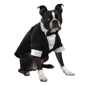 East Side Coll Yappily Ever After Groom Tux (Color: White, size: XXsmall)