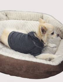 Doggy Hoodie (Color: Black, size: medium)