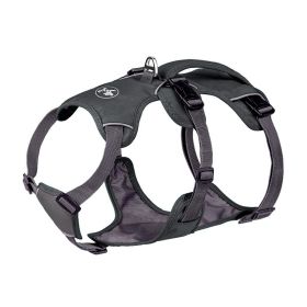 Pet Harness Dog Hand Holding Rope (Option: Gray-XS)